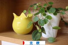 にほんブログ村 インテリアブログ 北欧インテリアへ