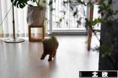 にほんブログ村 インテリアブログ 北欧インテリアへ