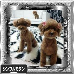 にほんブログ村 インテリアブログ シンプルモダンインテリアへ