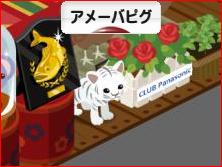 にほんブログ村 ネットブログ アメーバピグへ