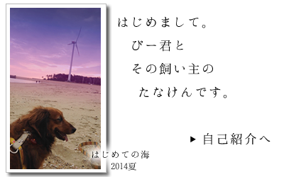 大事な事は、全て愛犬が教えてくれる～自己紹介へ