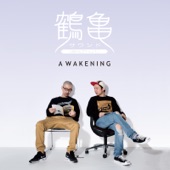 AWAKENING, 鶴亀サウンド