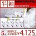 ワイシャツ 半袖 クールビズ 5枚セット スリム 形態安定　白シャツ