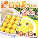 宮崎県産 ”日向夏” 　9～12玉　約2.5ｋｇ　化粧箱　贈答用にも