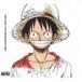 ONE PIECE 15th Anniversary BEST ALBUM(CD)