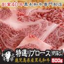 鹿児島県産　黒毛和牛ロース切り落とし　500ｇ《ステーキカット厚切り》《限定品》ブロック・業務用・肉の日・訳有り・29の日