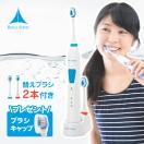 音波歯ブラシ 電動歯ブラシ はぶらし ロイヤルソニックDX 虫歯予防 白い歯 ホワイトニング おすすめ ロイヤルDX