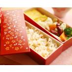 桜咲く　スリムスクエアランチ