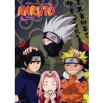 NARUTO -ナルト- 【タペストリー】 カカシ班（第七班） (カメラショット) (アメリカ版／海外版)