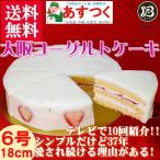 大阪土産スイーツ/大阪ヨーグルトケーキ/6号ノーマル（苺