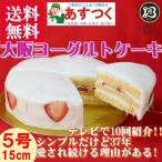 大阪土産スイーツ/大阪ヨーグルトケーキ/５号ノーマル（苺