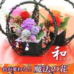 敬老の日/ギフト/色が変わる魔法のバラ（和風バージョン）/花/ギフト/プレゼント/プリザーブドフラワー/敬老の日 2011