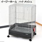 イ