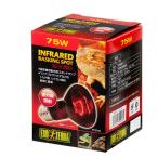 昼夜兼用集光型　ヒートグロー　赤外線放射　スポットランプ　７５Ｗ　（赤）【関東当日便】