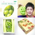 「シャインマスカット...