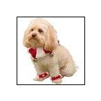 クリスマス用 ベルカラー