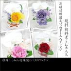 凛蝶ドーム入り 胡蝶蘭とバラのアレンジプリザーブドフラワー花