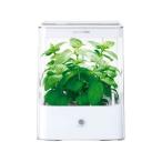 UH-CB01G-W Green Farm Cube グリーンファームキューブ ユーイング 水耕栽培器 ホワイト