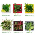 ミドリエ デザイン　フレーム2013