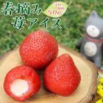 アイスクリームギフト 春摘み苺アイス（fb-1）送料無料