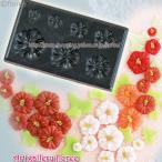 Lovely　Ｆｌｏｗｅｒ　ぷっくりハイビスカス