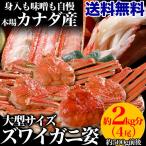 【年末年始指定ＯＫ】【送料無料】ズワイガニ浜茹で本ズワイガニを丸ごと5～7尾で合計2kg前後も詰め込みます！