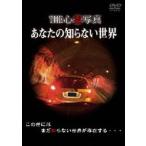 THE 心霊写真 あなたの知らない世界(DVD)