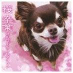 [CD]桜／卒業 オルゴール・コレクション ◆15%OFF！