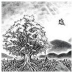 [CD]BUMP OF CHICKEN／ユグドラシル ◆15%OFF！