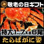 【お歳暮ギフト】【送料無料】北海道直送本タラバガニ姿1.7kg×6尾カニの王様タラバガニが激安。身入りの良いギフト品質のタラバガニ