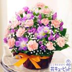 敬老の日フラワー　花キューピットの秋のピンクアレンジメント　ml10yr-522067