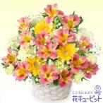 4月の誕生花（アルストロメリア等）　花キューピットのアルストロメリアのアレンジメント　ya04-511018