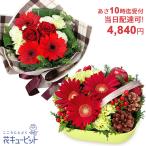 お誕生日　クイック 当日配達　花キューピットのクイックフラワーギフト　yaqu-q03999