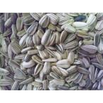 近喜商事 中国中粒ヒマワリシード 15ｋｇ（送料込）