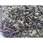 近喜商事 ヨーロッパ小粒ヒマワリシード 15ｋｇ