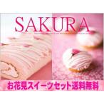 【春限定】お花見スイーツセット　桜スイーツ盛りだくさん♪【送料無料】