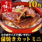 『訳あり わけあり』はなまる・スマステでも紹介！小さめ国産うなぎの蒲焼き１０枚セット(うなぎ 蒲焼き ウナギ 鰻 割れ つぶれ 傷 規格外)