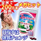 ダイエット サプリ サプリメント 「アクセルパワー」4袋セット