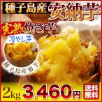 安納芋焼き芋♪≪お味見送料無料の大特価≫これが話題の『冷やし芋』夏に美味しいひんやりスイーツ♪★種子島産安納蜜芋【完熟焼きいも500gお試しパック】