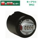 キーアウト　SM12