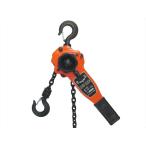１，０Ｔ レバーブロック 【レバーホイスト,チェーンブロック,ガッチャ,チェーン荷締機,チェーン荷締め機,トラック運送運搬用品,芯だし作業,引き寄せ作業】