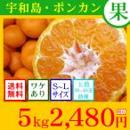 ≪送料無料！≫（◆追熟甘味・訳あり・家庭用）愛媛県産　ポンカン8kg＋＜２kg増量＞1,500円（税込）（Ｓ～Ｌサイズ込/目安40玉～65玉前後）