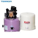 寺田 浅井戸ポンプ THP-150 (100V150W)