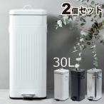 【送料無料】Galva スクエアダストボックス 30L　2個セット　（ゴミ箱/ごみ箱/分別/キッチン/インテリア雑貨/くずかご/ダストBOX/ごみばこ/フタ付き/45L袋可）