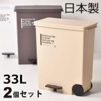 【送料無料】横型ペダルペール 2個セット（ゴミ箱/ごみ箱/ダストボックス/分別/おしゃれ/グッドデザイン賞/45L袋可）