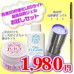 ジェルネイルキット LEDライトと高品質クリアジェルのお試しセット ソークオフジェル