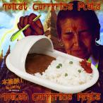 便器のカタチのカレー皿（和式）