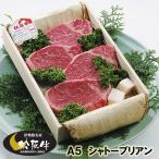 松阪牛Ａ５シャトーブリアン（ヒレ）ステーキ４枚（600g）