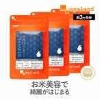 サラシア茶（50g×3個セット）
