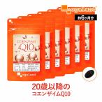 コエンザイムQ10美容健康サプリメント 半年分SALE！ サプリメント 健康食品